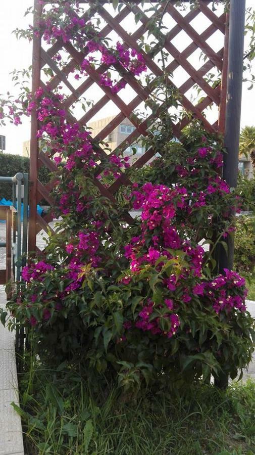 Villa Arechi Salerno Ngoại thất bức ảnh